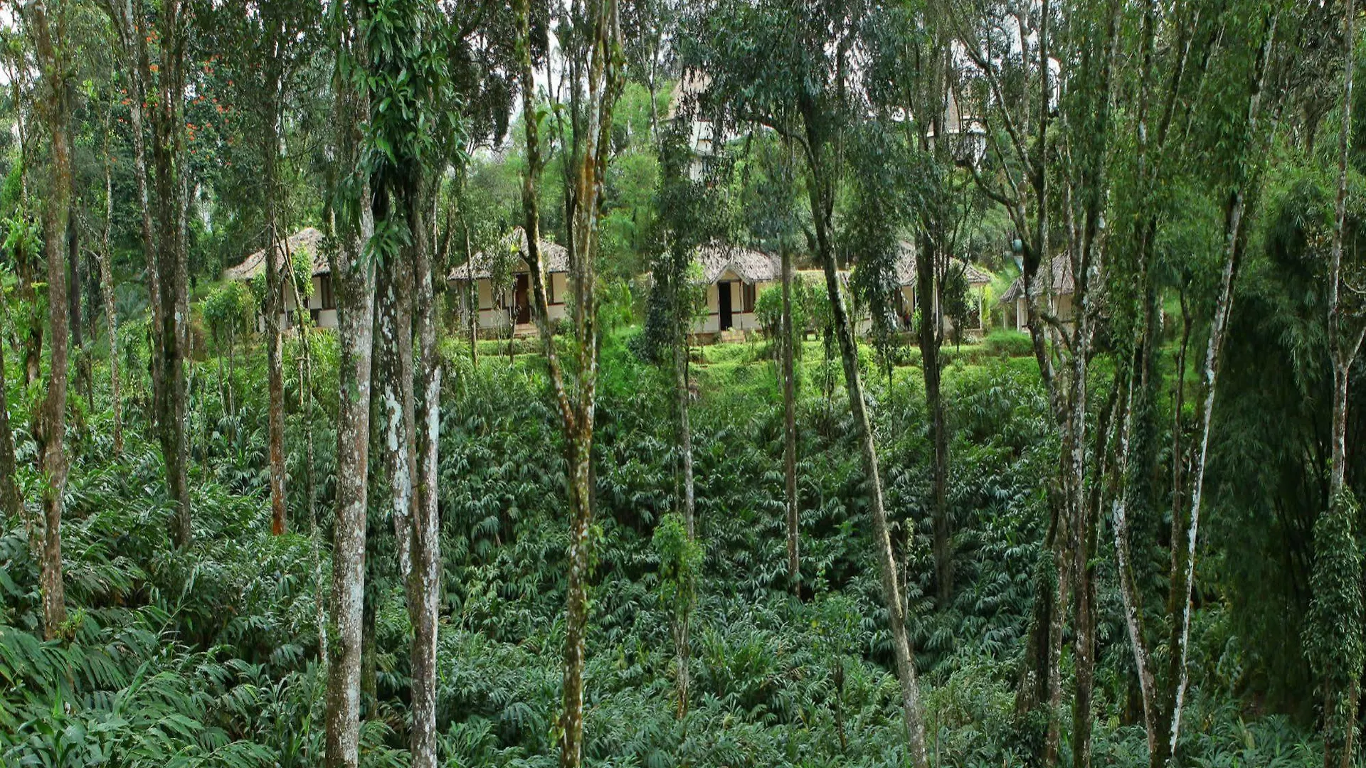 Carmelia Haven Resort Thekkady
